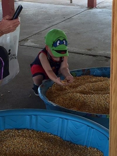 Kids learning where their food comes from.
